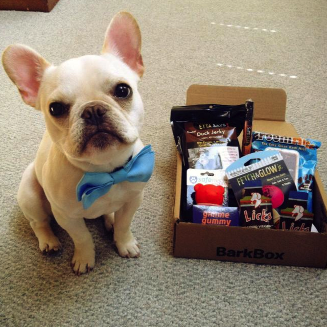 BarkBox: a monthly box of dog goodies