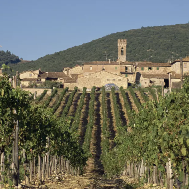 Honeymoon Fund! Visit to Chianti Towns and Wineries