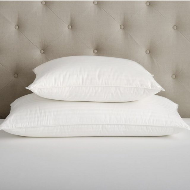 Pottery Barn Classic Feather-Down Pillow