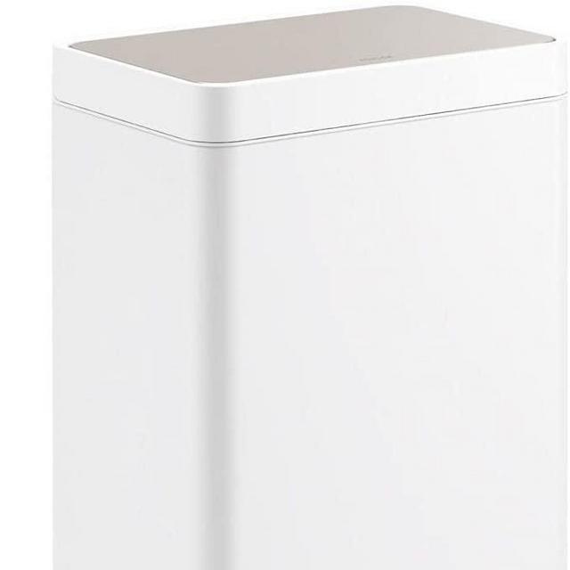 Dual-compartment Kohler step trash can