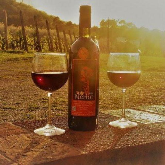 E-Bike + Wine tour in Tuscany