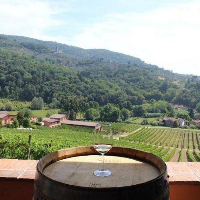 Wine Tour outside of Lucca, Italy