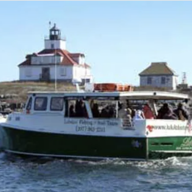 Our Maine Honeymoon: Lulu Lobster Boat Tour