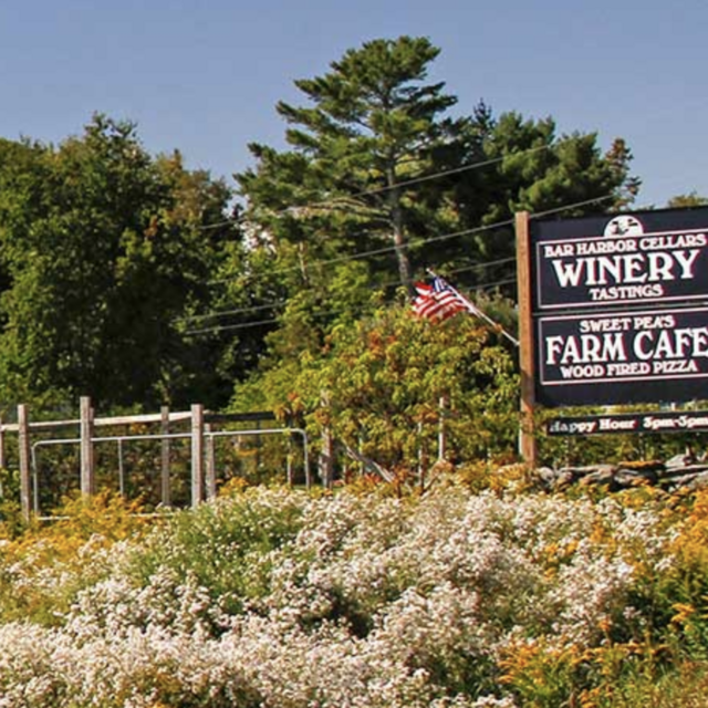 Our Maine Honeymoon: Bar Harbor Cellars