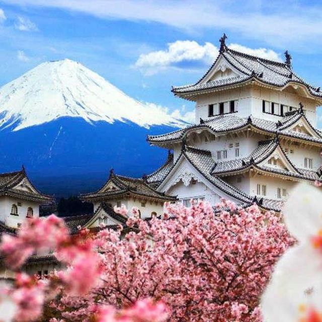 Our (Postponed) Honeymoon to Japan