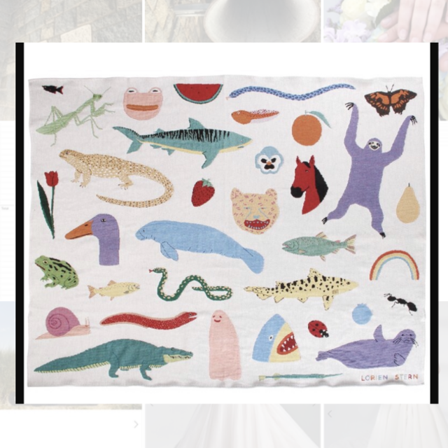 Beautiful World Blanket — LORIEN STERN