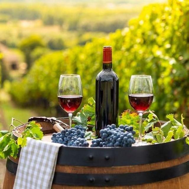 Sonoma Valley Trip