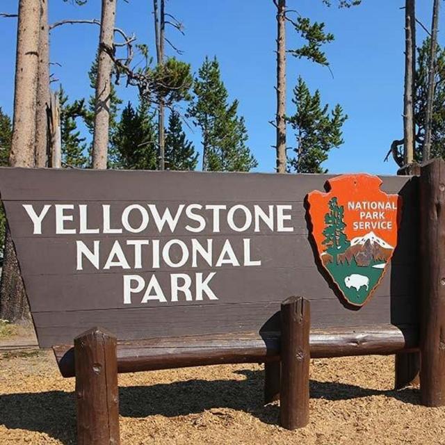 Yellowstone National Park Trip