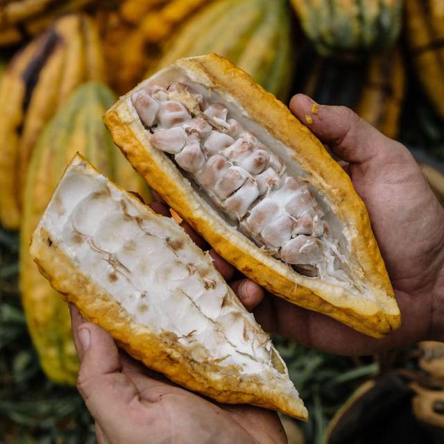 Lydgate Farms Kauai Chocolate Tour