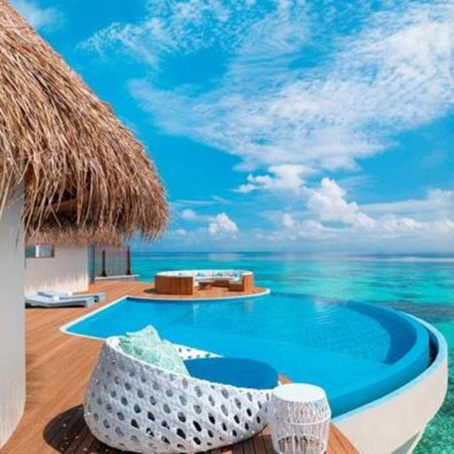 Honeymoon Fund
