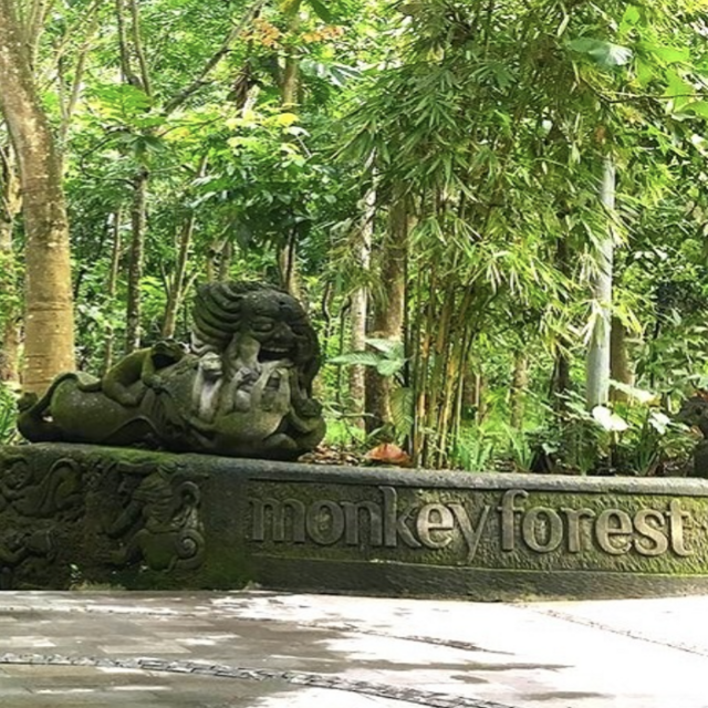 Monkey Forest visit in Bali