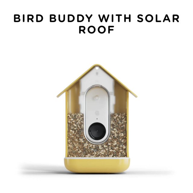 Bird Buddy Pro Bundle