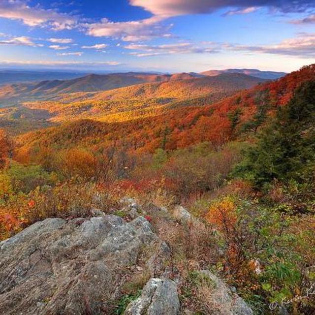Picnic lunch in Shenandoah National Park