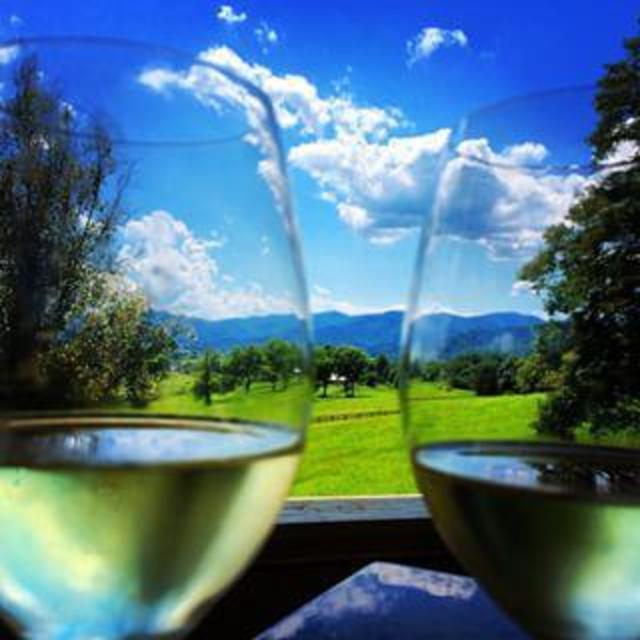 Wine Tasting Class at Little Washington Winery