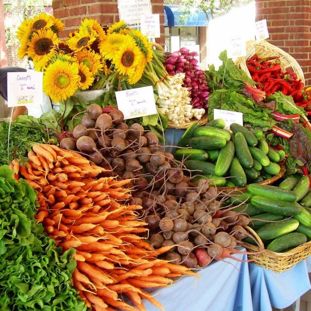 Outing to Village Farmers Market in Little Washington