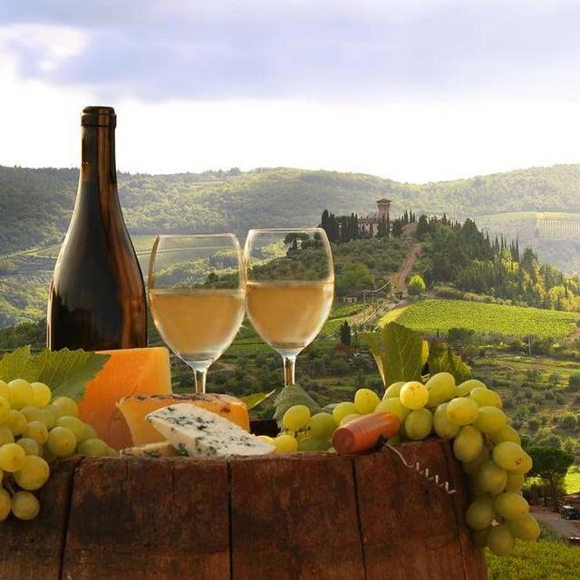 Winery Experience in Tuscany