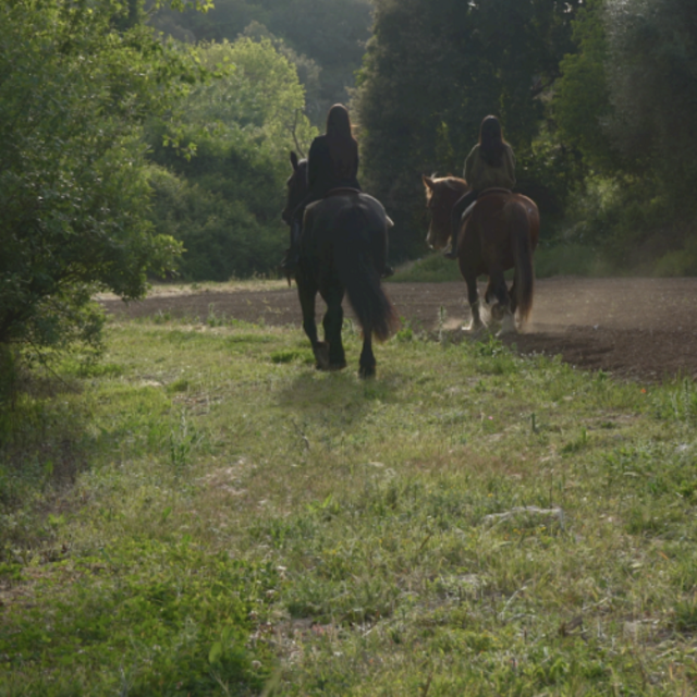Horseback Riding On Our Honeymoon