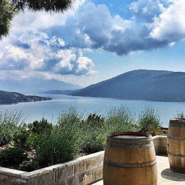 Wine Tour in Montenegro