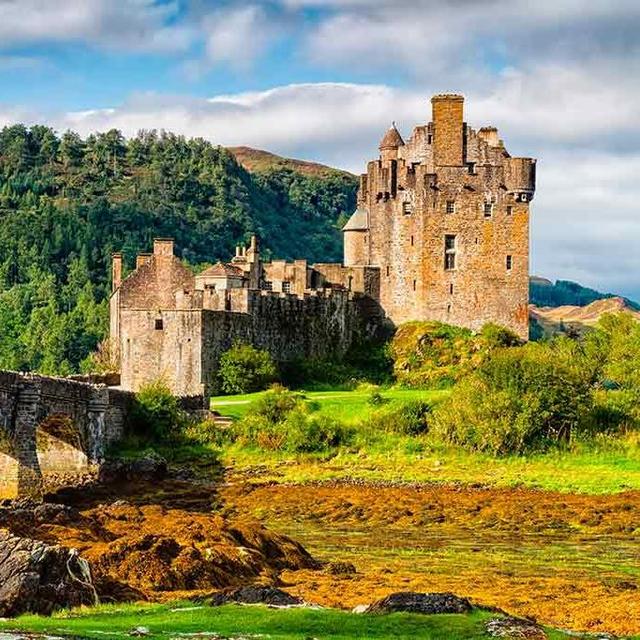 Spruce Up Our Castle