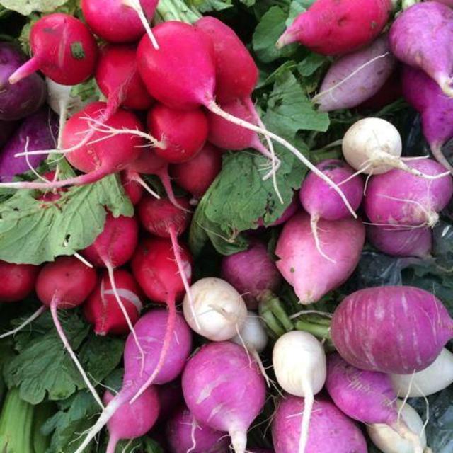 Nichols Farm Fall CSA