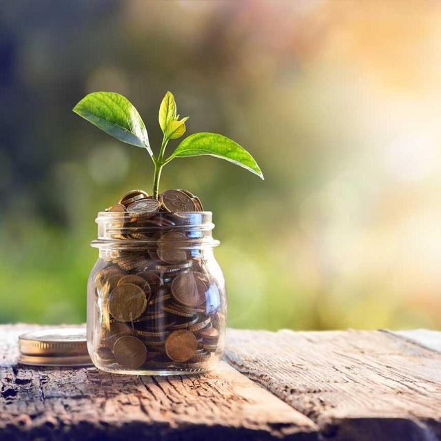 Our Newlywed Fund