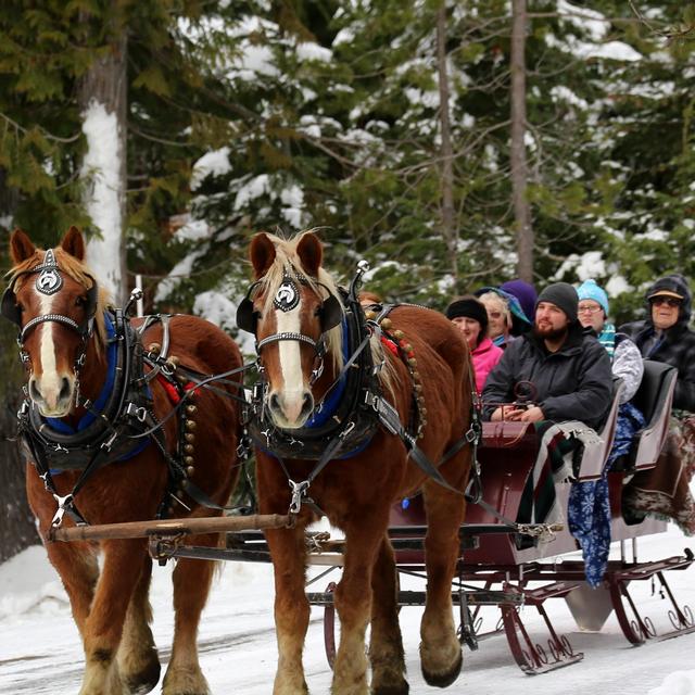 Winter sleigh ride