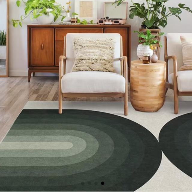 Absida Sage Washable Area Rug 9x12