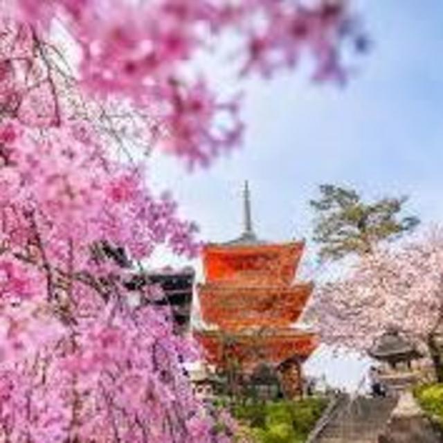 Honeymoon Fund - Kyoto Japan!