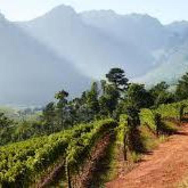 Bike Tour of Wine Country