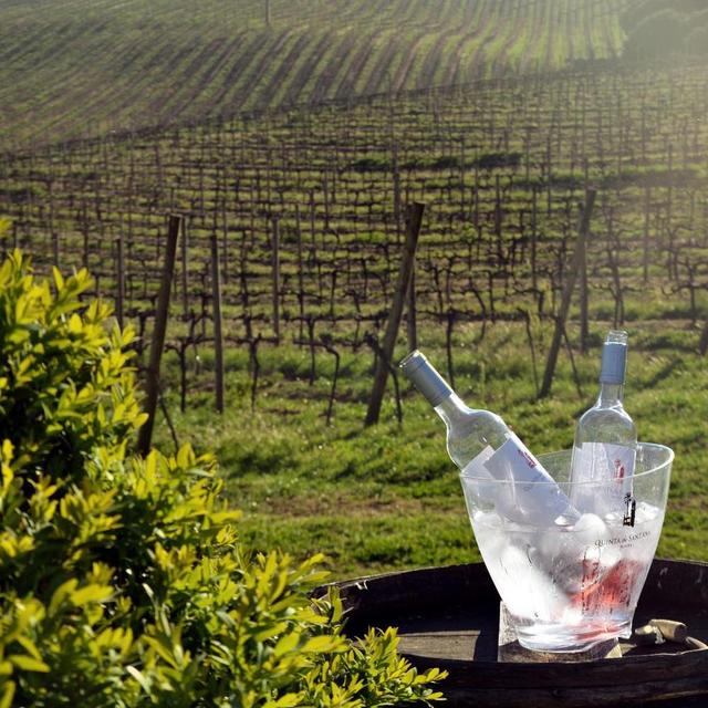Portuguese Wine Tasting
