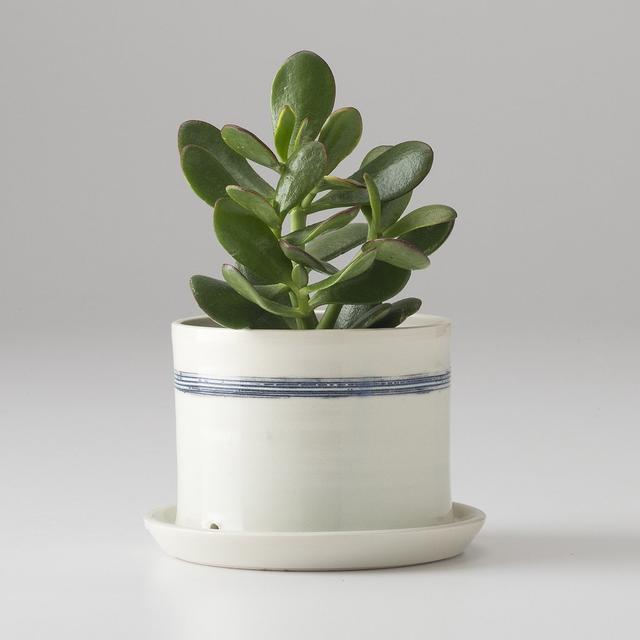 Banded Porcelain Planter