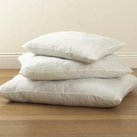 Dog Bed Pillow Insert [Large] - Pottery Barn.