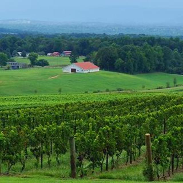 Yadkin Valley Mini-moon