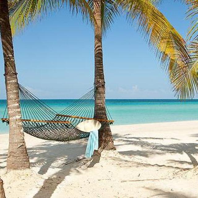 Our Magical Jamaica Honeymoon Fund