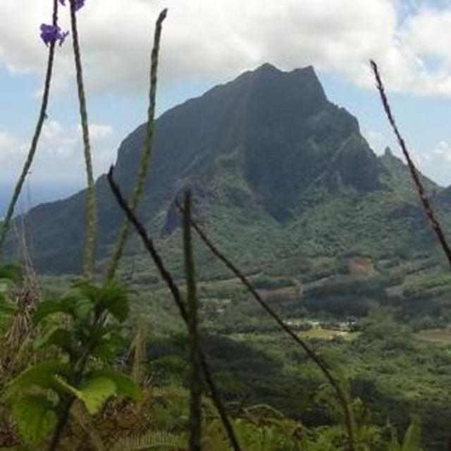 Moorea Three Coconuts Trail Guided Hike