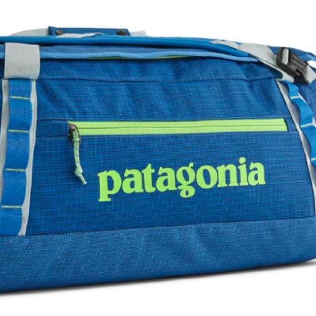 Patagonia Travel Duffle