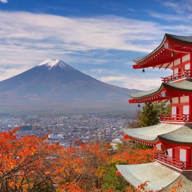 Honeymoon in Japan