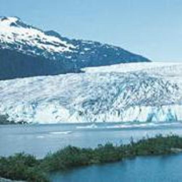Mendenhall Glacier Whale Watching and Wildlife Quest