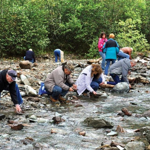Historic Gold Mining and Panning Adventure