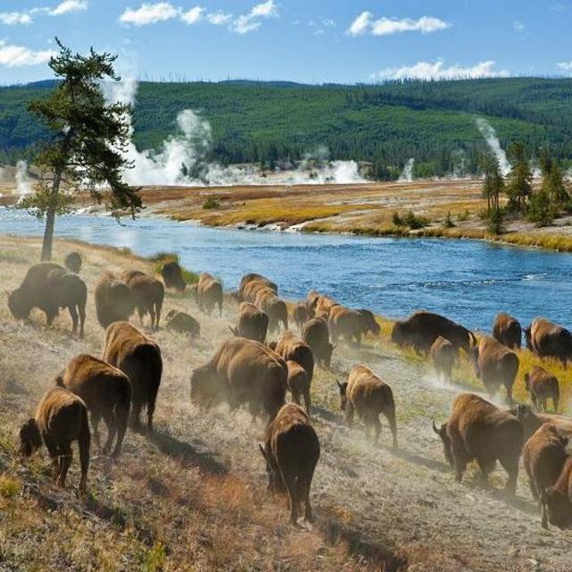 National Park Service Annual Pass