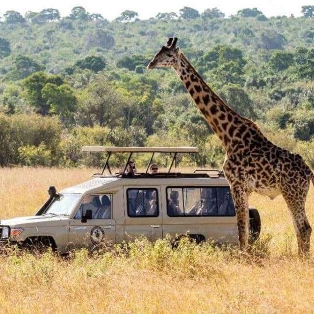 Bucket List: Safari Trip
