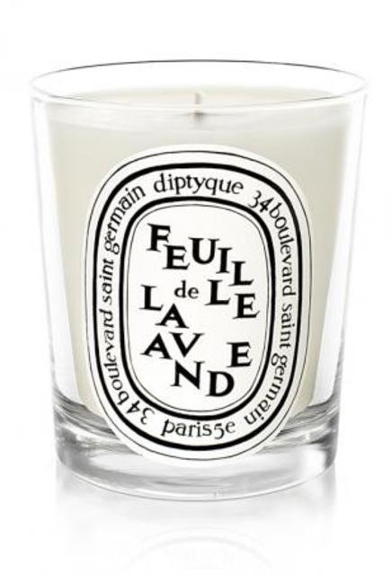 Feuille de Lavande / Lavender Leaf