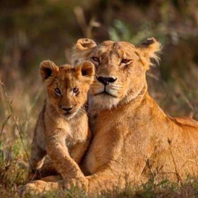 South Africa Honeymoon Fund
