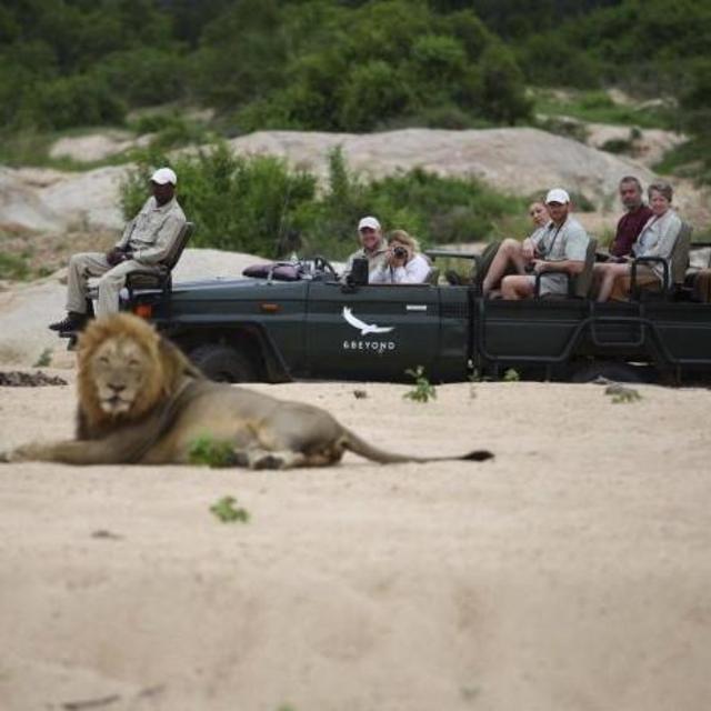 Morning and Evening Game Drives