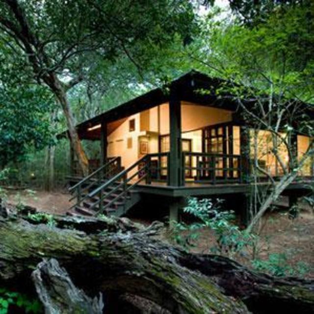 Phinda Forest Lodge