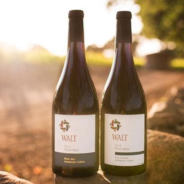 Any Vintage of Walt's Pinot Noir from suggested Varietals