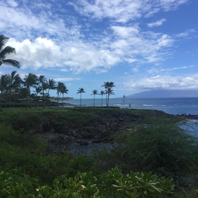 Honeymoon Fund: Maui