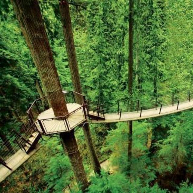 A Day at Capilano Suspension Bridge Park