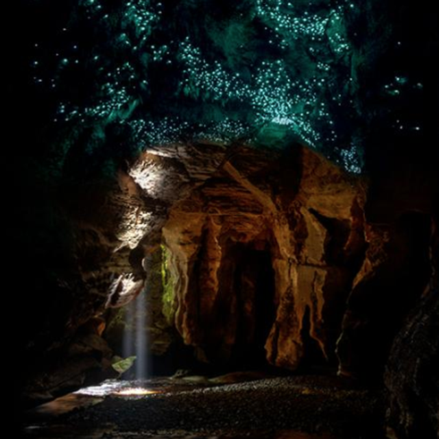Glowworm Tour On Our Honeymoon - Underworld Adventures