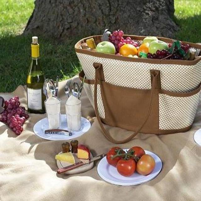 Picnic for Two on honeymoon